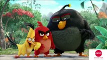 Cast Of Voices Set For The Angry Birds Movie - AMC Movie Talk