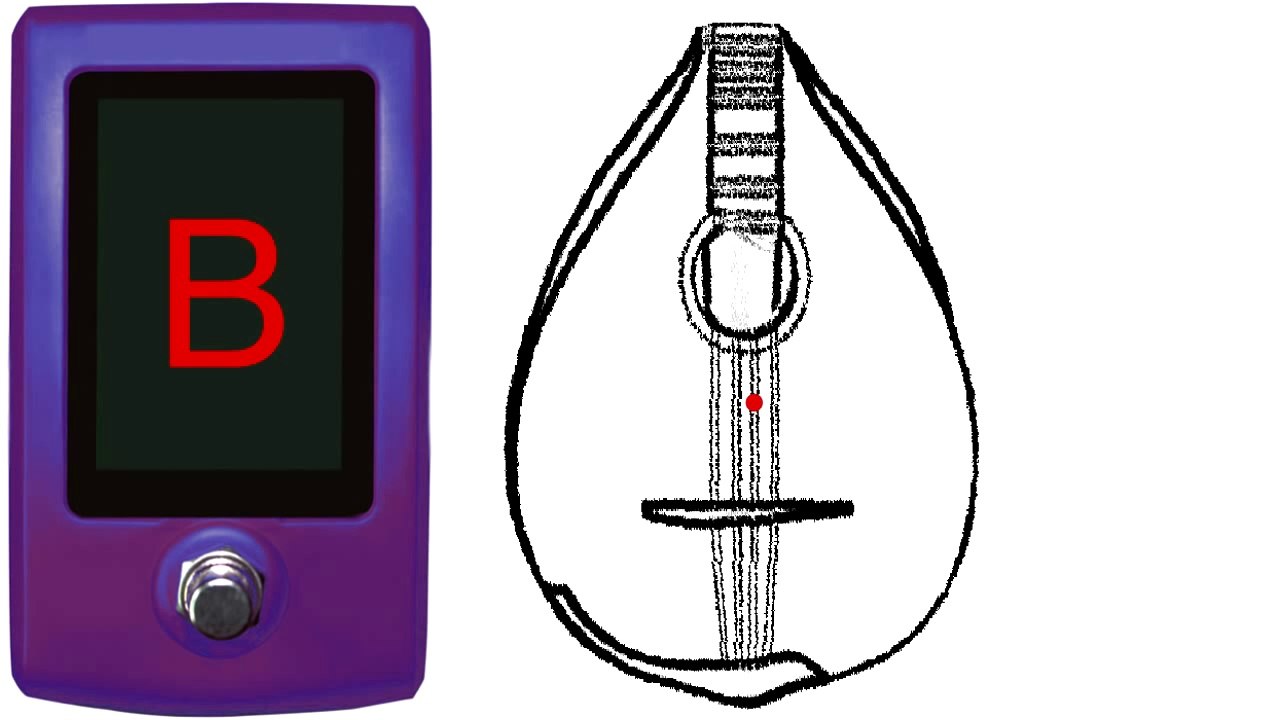 Mandolin Tuner - E5 Tuning