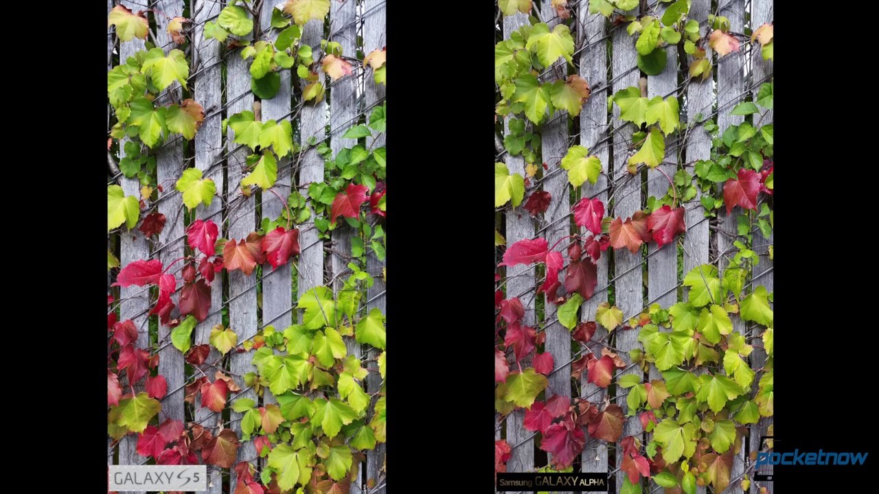 Galaxy S5 vs Galaxy Alpha