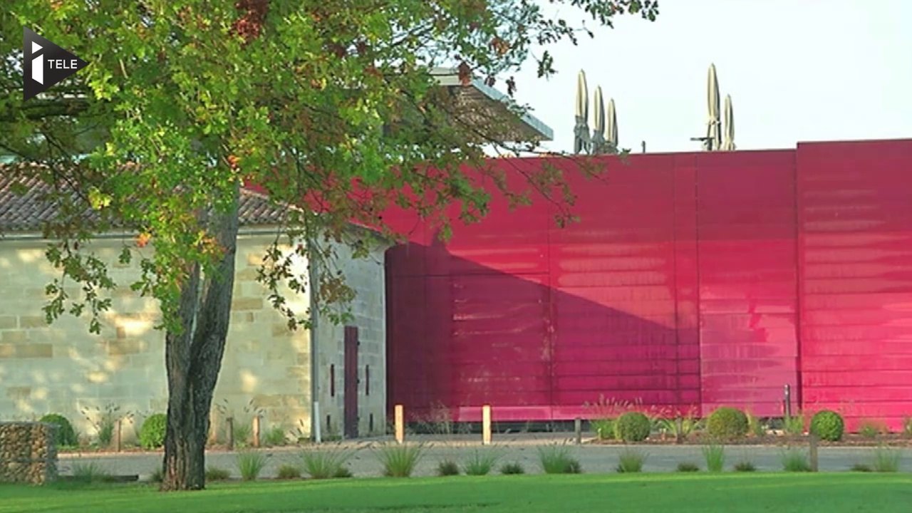 Immersion dans le vignoble bordelais du Château la Dominique