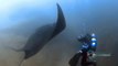 Diving in Cabo San Lucas: Nautilus Dive Tech
