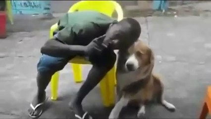 Il se fait mordre au visage par un chien