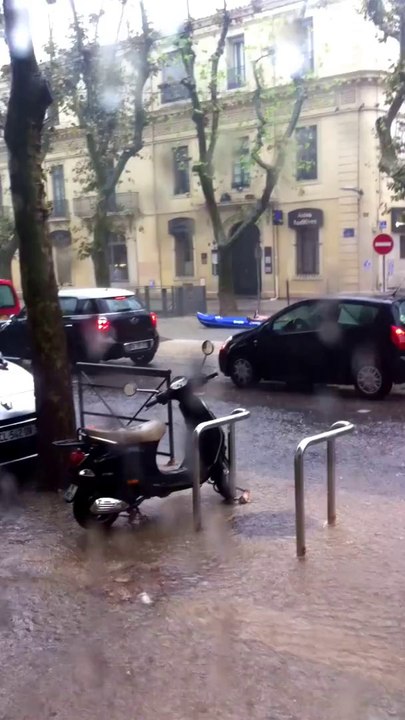 Un mec en Canoé Kayak à Montpellier Boulevard Gambetta !!!