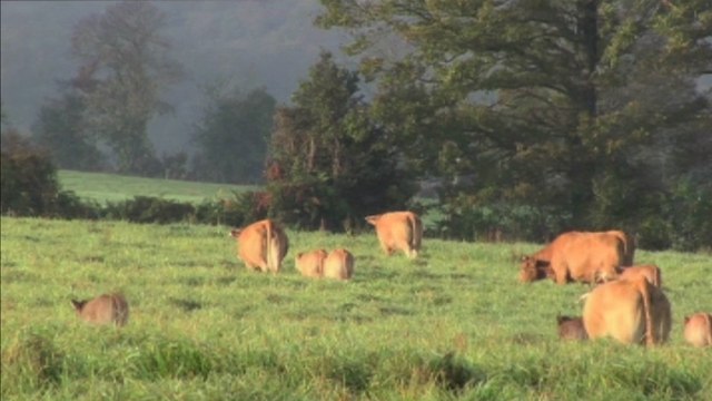 Le Temps Des Graces VF - Ext 2