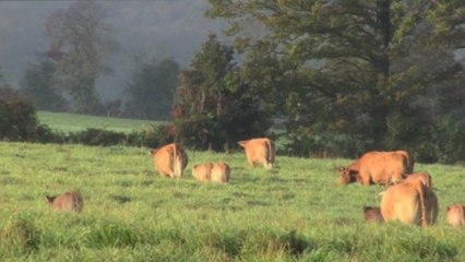 Le Temps Des Graces VF - Ext 2