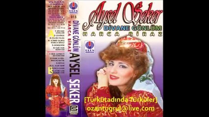 güngör yıldız..Aysel Seker - Divane Gönlüm2