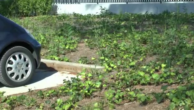 LES NOUVELLES DE MICHOU64 W-D.D. - 3 OCTOBRE 2014 - PAU - STADE NAUTIQUE - UNE ILLUSION D'OPTIQUE DONNAIT L'IMPRESSION QUE... MAIS....