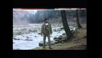 Jee Na Lage Bin Tere Yaara - Udit Narayan, Sadhana Sargam - Shaktiman