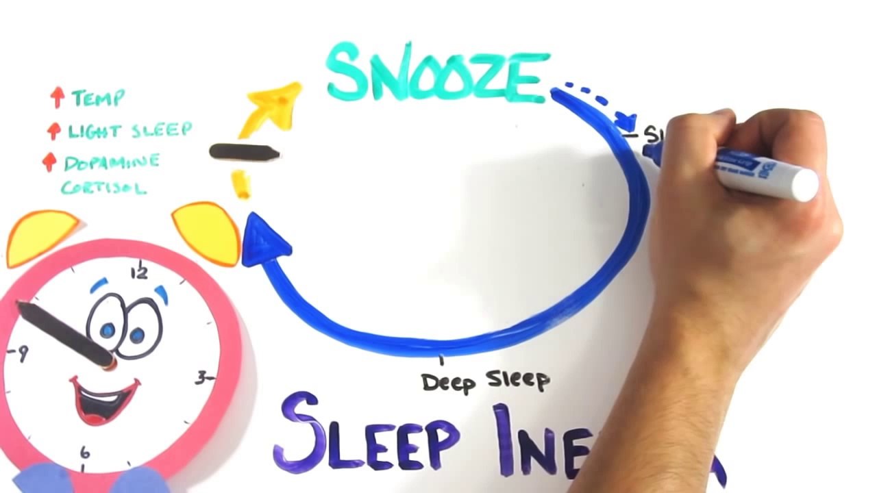 Should You Use The SNOOZE Button