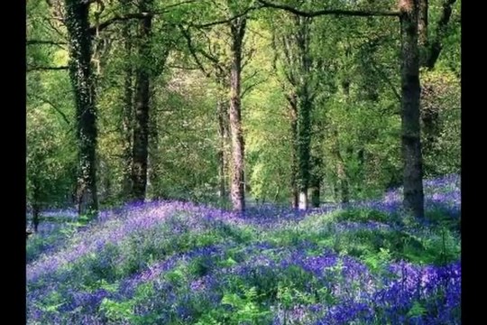 Amazing Grace (My Chains are Gone) - Chris Tomlin Worship Video w_lyrics(1)