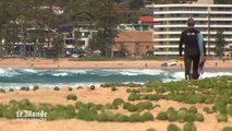Des mystérieuses boules vertes sur une plage australienne