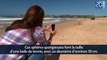 Des boules vertes envahissent une plage de Sydney