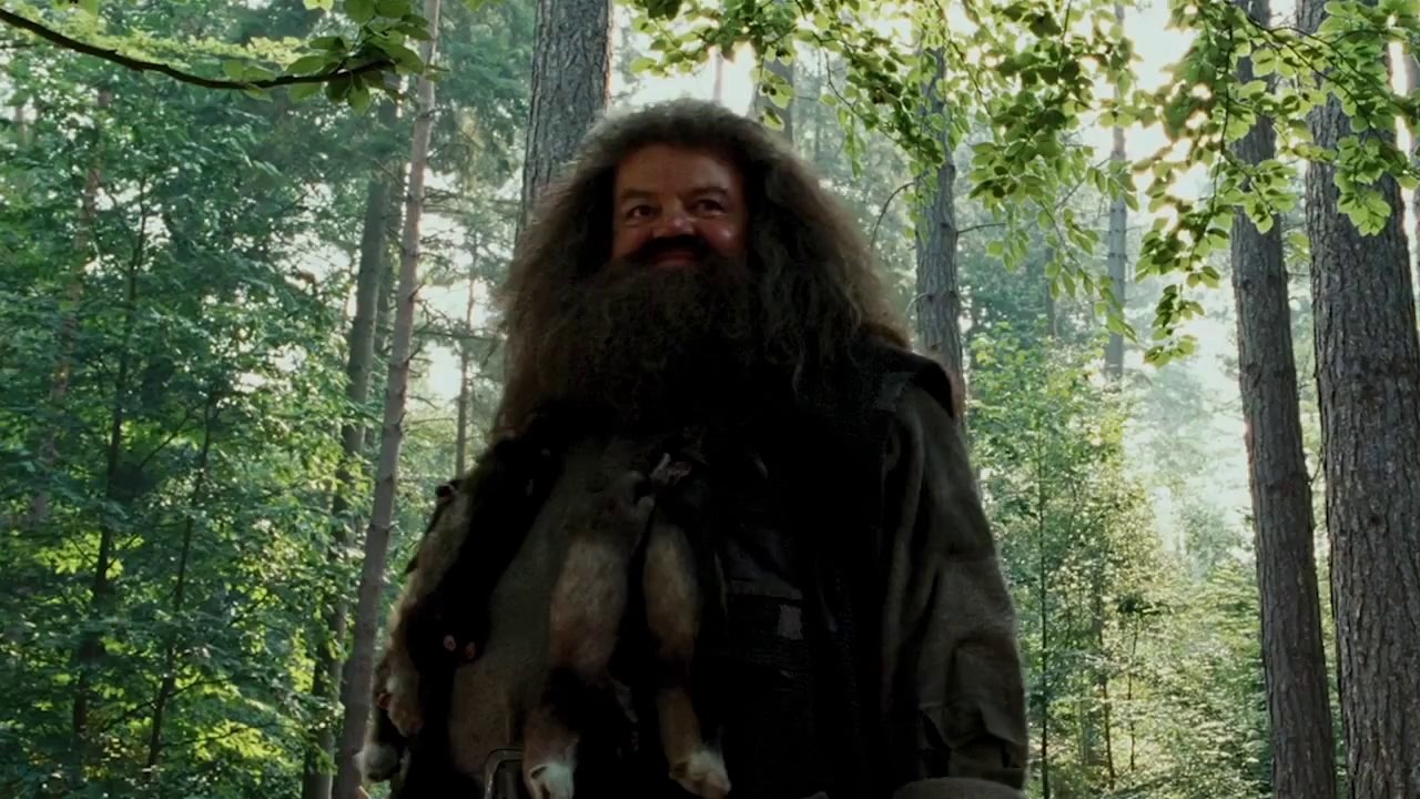 Mashup with Hermione voice : Harry potter Mix by Pogo n Jeesh