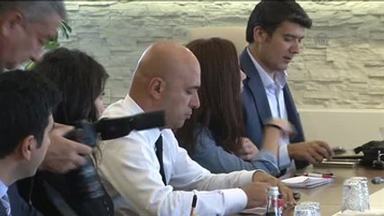Lütfi Elvan - Anayasa Mahkemesi Tarafından Tib'e İlişkin Verilen Karar