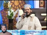 Jahan Roza-e-Pak Khair-ul-Wara Hai by Zulfiqar Ali Hussaini Naat on Ary Qtv