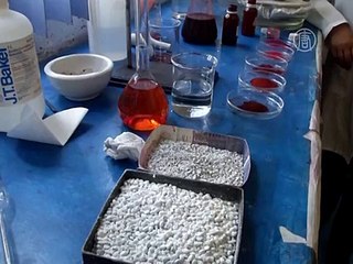 В Мексике возрождают производство кармина