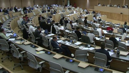 Voeu billets TER - Eliane GIRAUD