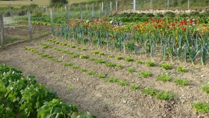 Maison avec terrain à vendre hors lotissement dans les MONTS DU LYONNAIS avec ESPRITSUDEST