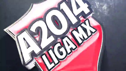 Nosotros no vamos a abandonar: Omar Bravo