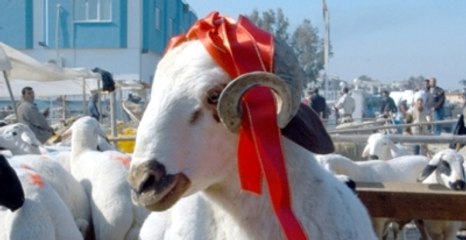 Kurban Bu 2 Şeyi Asla Görmemeli!