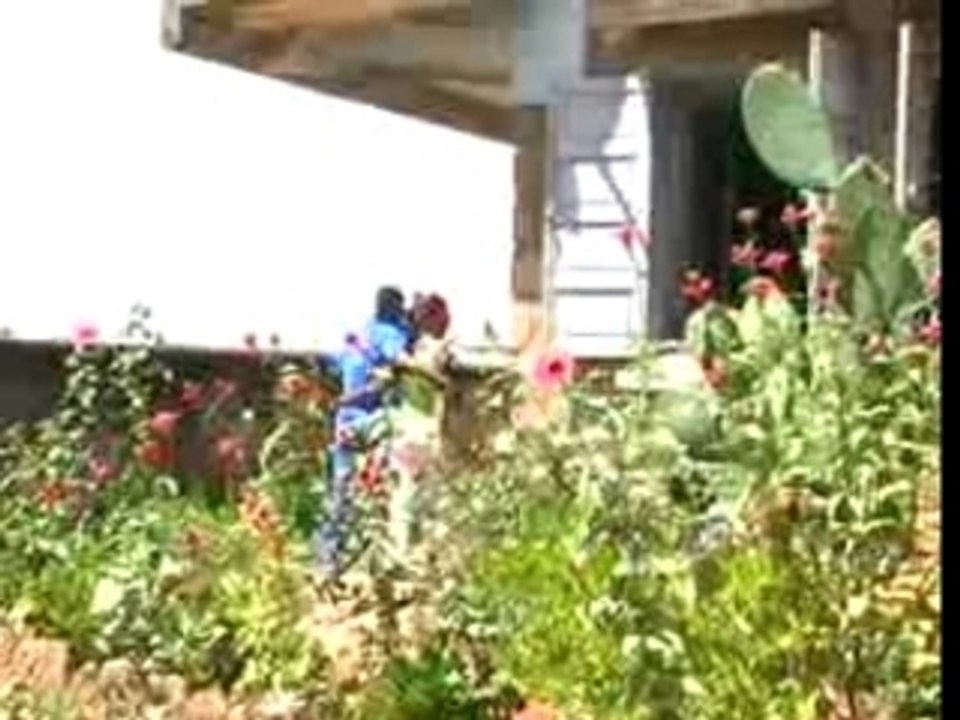 Lalah-Damon (Kidoro Pamba )