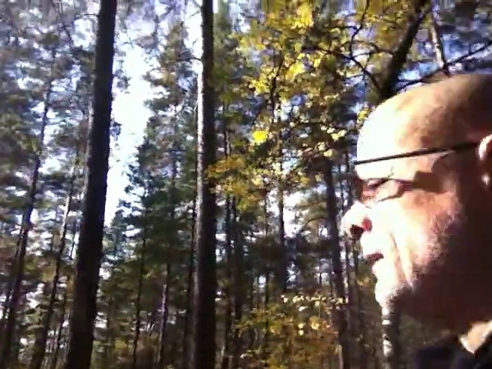 Oct 3 2014 3