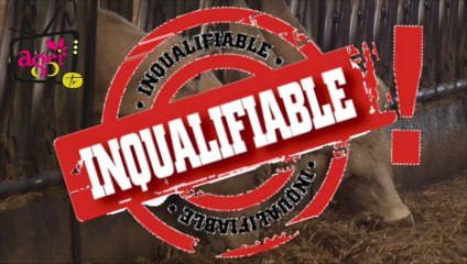 JT agri85TV du vendredi 3 octobre 2014