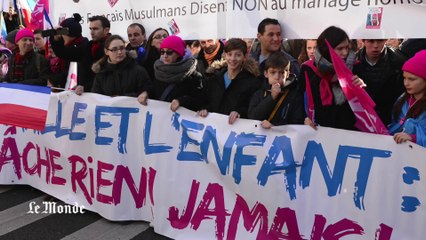 Manif pour tous : pourquoi de nouveaux rassemblements ?