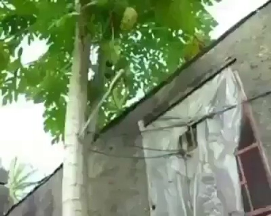 very crule fight between two guys .