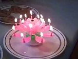 Sevgiliye süpriz kendiliğinden açılan doğum günü pastası
