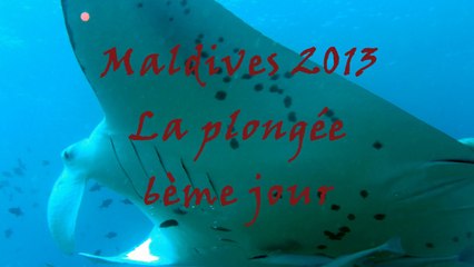 Shooting aux Maldives - Jour 6