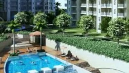 saviour green arch noida@9873115093