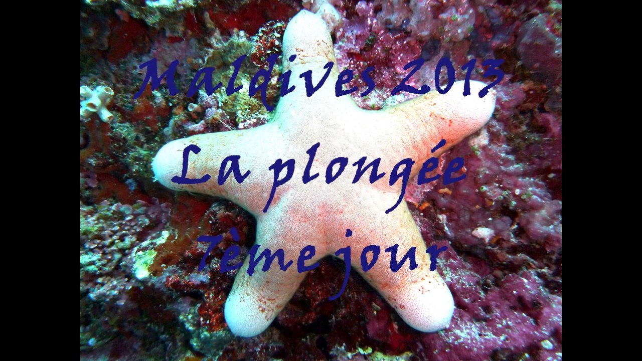Shooting aux Maldives - Jour 7
