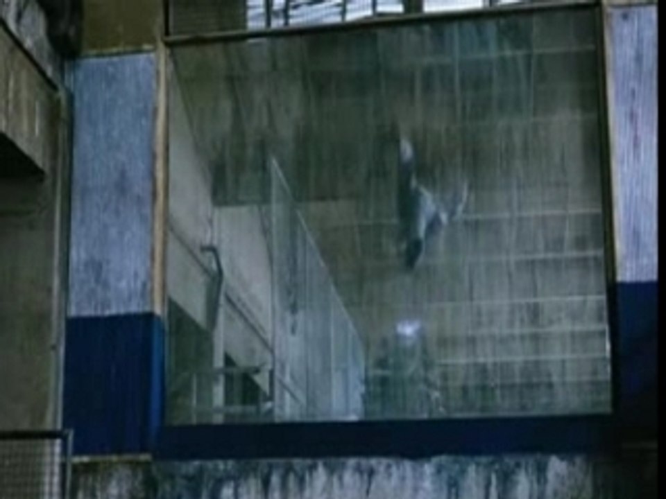 Amv L'Honneur du dragon