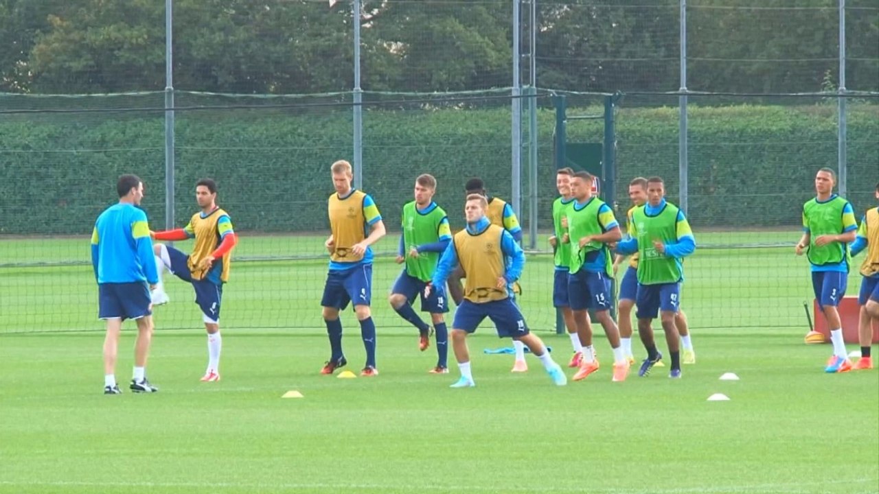 Wenger: 'Keine Probleme mit Fabregas'