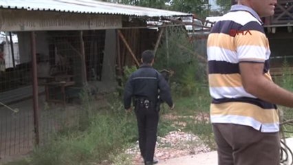 Bursa'da Kaçan Boğayı Yakalama Operasyonu" Haberine Ek