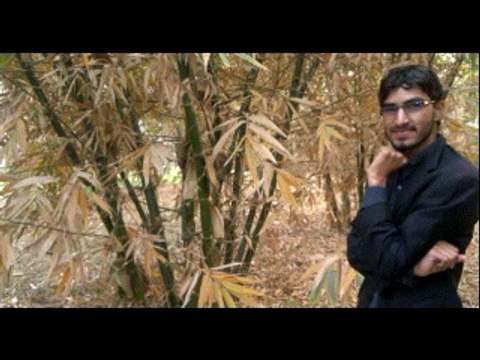 Kabi yon bi to ho by IMRAN ADEEB cell 923064751657