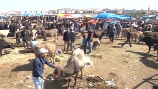 Kurban Pazarında Arife Günü Yoğunluğu Yaşandı