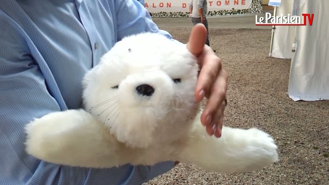 Un robot bébé phoque pour les malades d'Alzheimer