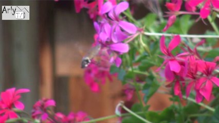 Séance de réflexologie plantaire