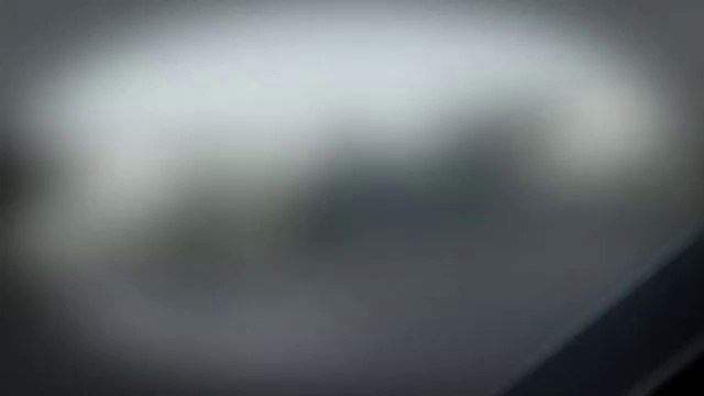 Cat says _I don_#8217;t know_ hahahaha - Very funny