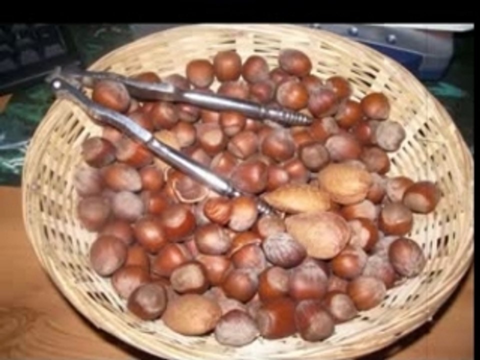 Les castrés (chats)