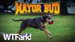 MAYOR BUD: Occupy Movement Nominates Dog For Mayor Of Oakland. Dog Vows To Support Single-Bitch Families With Subsidized Milkbone Program