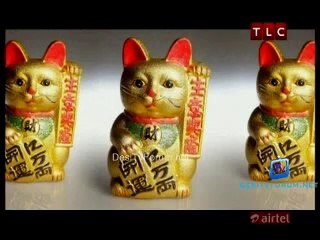 Gok Cooks Chinese 4th October 2014 Video Watch Online