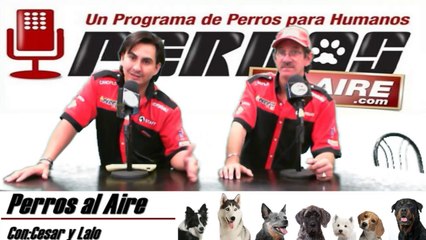 PERROS AL AIRE 20 DE SEP DEL 2014 2a PARTE
