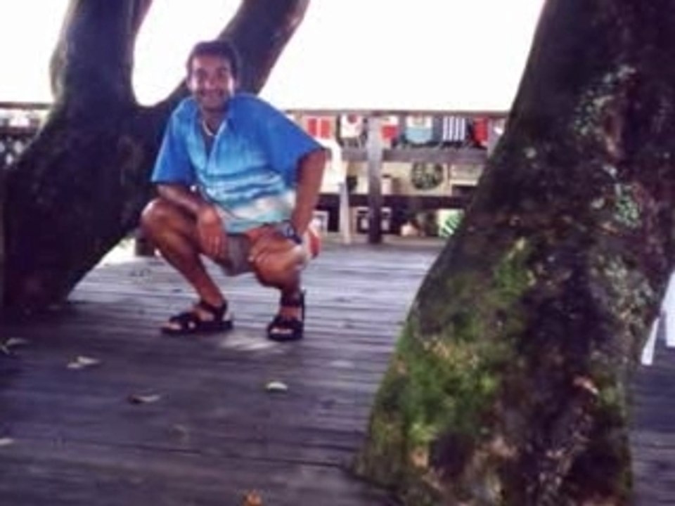 Hawaii clip