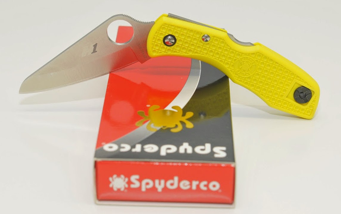 Review - Spyderco Salt 1
