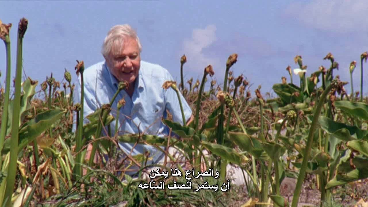 حقيقة ذوات الدم البارد الحلقه الاولى حقيقة ذوات الدم البارد BBC