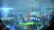 Finding Nemo Submarine Voyage at Disneyland - 2014 Refurbishment