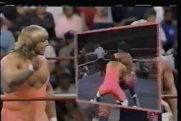 WCW Pro 1991-04-13